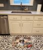 The Chef Memory Foam Kitchen Mat Machine Washable Anti-Fatigue Mat Cushion Comfort Bath Mat or Kitchen Rug